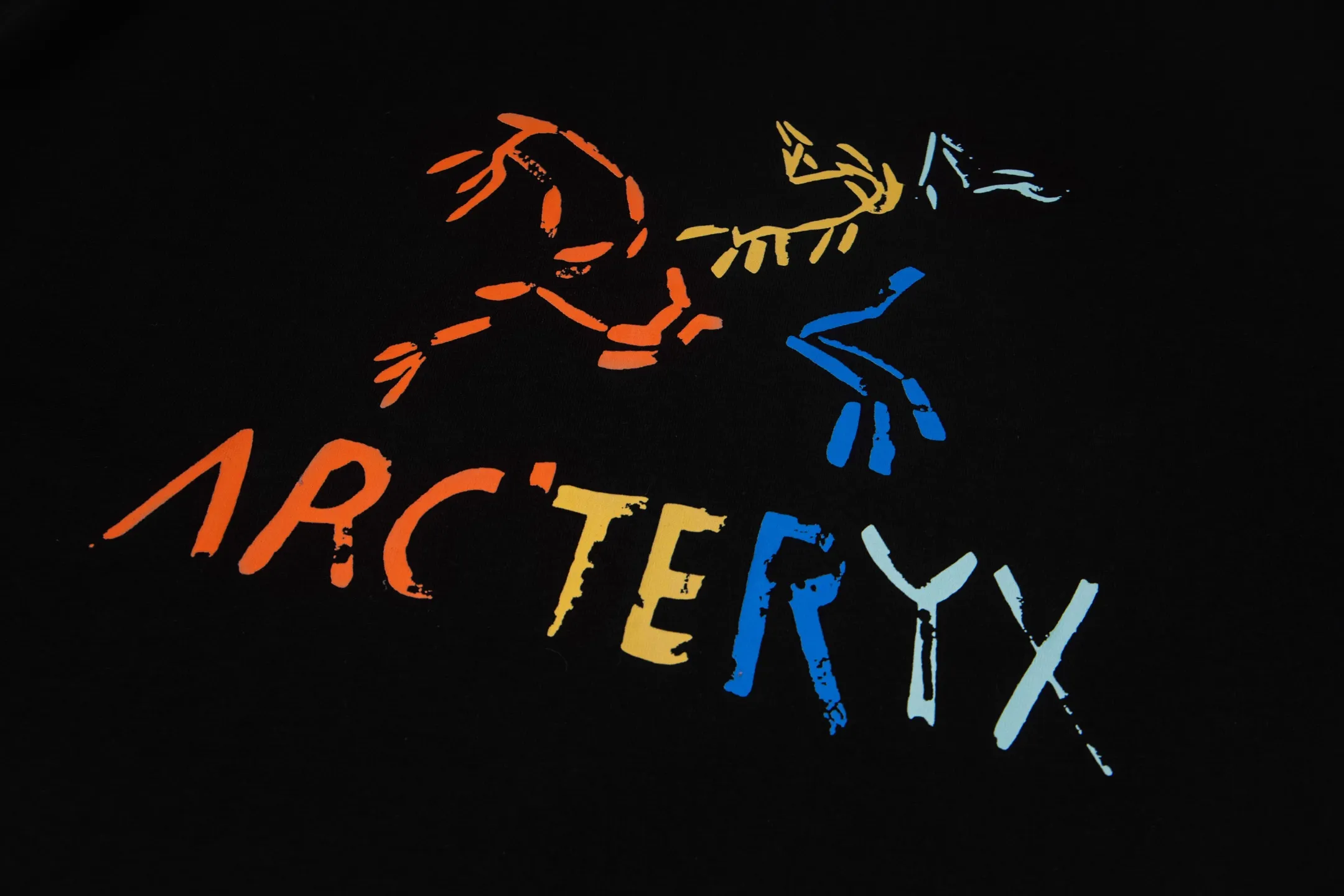 ARC'TERYX Same Style Same Style Series Sizes：S-XXL :Black White